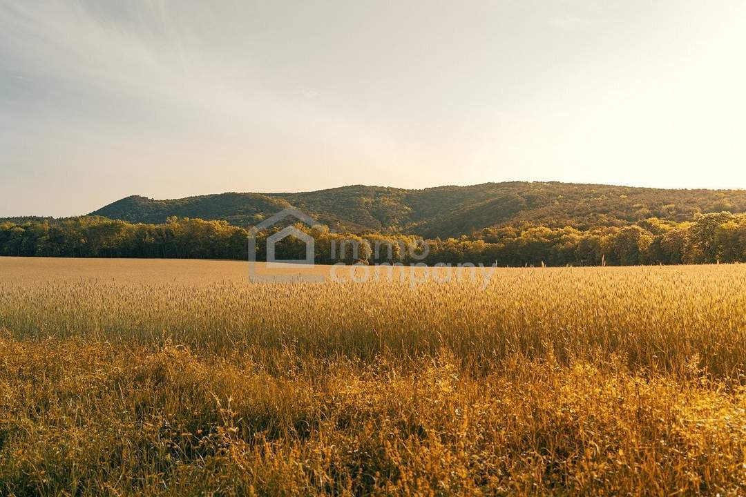 Baugrundstück *** Realisieren Sie Ihr Wohnbauprojekt *** Nähe Hainburg
