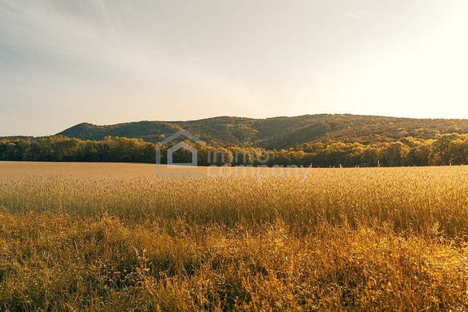 Baugrundstück *** Realisieren Sie Ihr Wohnbauprojekt *** Nähe Hainburg, Grund und Boden-kauf, 180.000,€, 2405 Bruck an der Leitha
