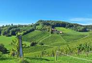 "Above it All" – Luxus-Apartment am Hochgrassnitzberg mit Aussicht und Anlagefaktor