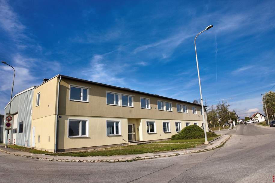 900m² Produktionshalle mit 360m² Büro und eingezäunten Freiflächen | Groß-Enzersdorf mit Nähe zum 22. Bezirk, Gewerbeobjekt-miete, 4.818,00,€, 1220 Wien 22., Donaustadt