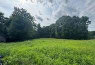 Ruhelage am Ende einer Sackgasse – sonniges Bauland mit eigenem Wald & Möglichkeit zur Grundstücksteilung