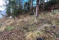 Platz für Ihre Ideen - Haus mit Potenzial in der Gemeinde Reichenau an der Rax!