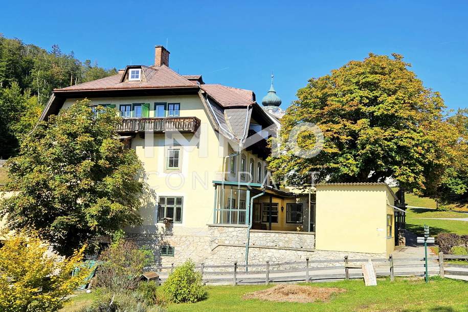 Besondere Liegenschaft mit vielen Nutzungsmöglichkeiten im malerischen Gutenstein, Haus-kauf, 395.000,€, 2770 Wiener Neustadt(Land)