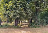 Einladendes Einfamilienhaus mit Wintergarten und Whirlpool in Alland