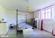 Mondäne Residenz mit Gästehaus + 4 Garagen