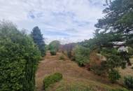ARCHITEKTENWOHNJUWEL MIT PARKÄHNLICHEM GARTEN IN RUHELAGE MIT ALTBAUMBESTAND IM NAHBEREICH VON WIEN MIT HERVORRAGENDER INFRASTRUKTUR