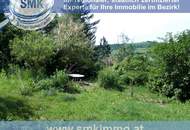 Stilvolle Villa mit traumhafter Aussicht und Garten im Kamptal!
