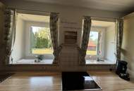 Der Inbegriff von Lebensqualität- top saniertes, massiv erbautes Kellerstöckl mit Lärchenholzverkleidung in traumhafter Aussichtslage nahe Riegersburg