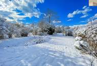 Großzügiges Mehrfamiliengrundstück – Raum für Ihre Zukunft!