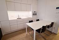 STEPHANSPLATZ-NÄHE, möbliertes 35 m2 Apartment, 1 Zimmer, Kochnische, Duschbad, Parketten, 3. Liftstock, Rotenturmstraße