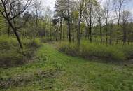 Naturjuwel im Südburgenland