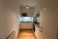 SÜDSEITIGES 3-ZIMMER-APARTMENT MIT SÜDGARTEN ( BJ 2008 )