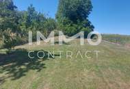 EINFAMILIENHAUS IRNFRITZ/ PERNEGG NÄHE MIT NEBENGEBÄUDE ZU VERKAUFEN!