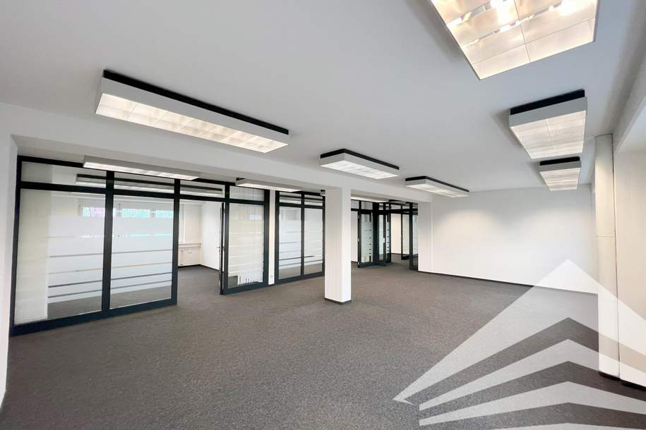 Klimatisiertes 235 m² Büro mit Schauraum/Lager am Franzosenhausweg! Parkplätze!, Gewerbeobjekt-miete, 4.500,00,€, 4020 Linz(Stadt)