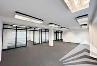 Klimatisiertes 235 m² Büro mit Schauraum/Lager am Franzosenhausweg! Parkplätze!