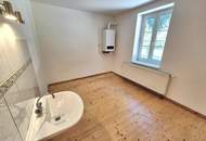 INVESTOR GESUCHT