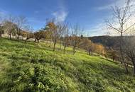 6.026m² Land und Forstwirtschaftliche Fläche in Ruppersdorf