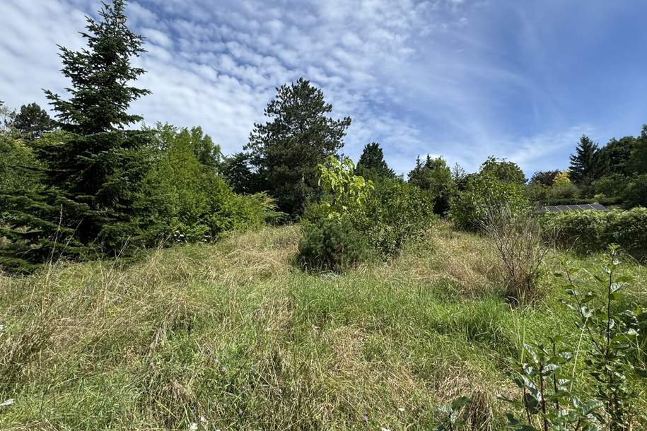 Seltenes Bauträgergrundstück mit Bestandshaus – 4.356 m², 4–5 Bauparzellen möglich, Klosterneuburg, Grund und Boden-kauf, 3400 Tulln