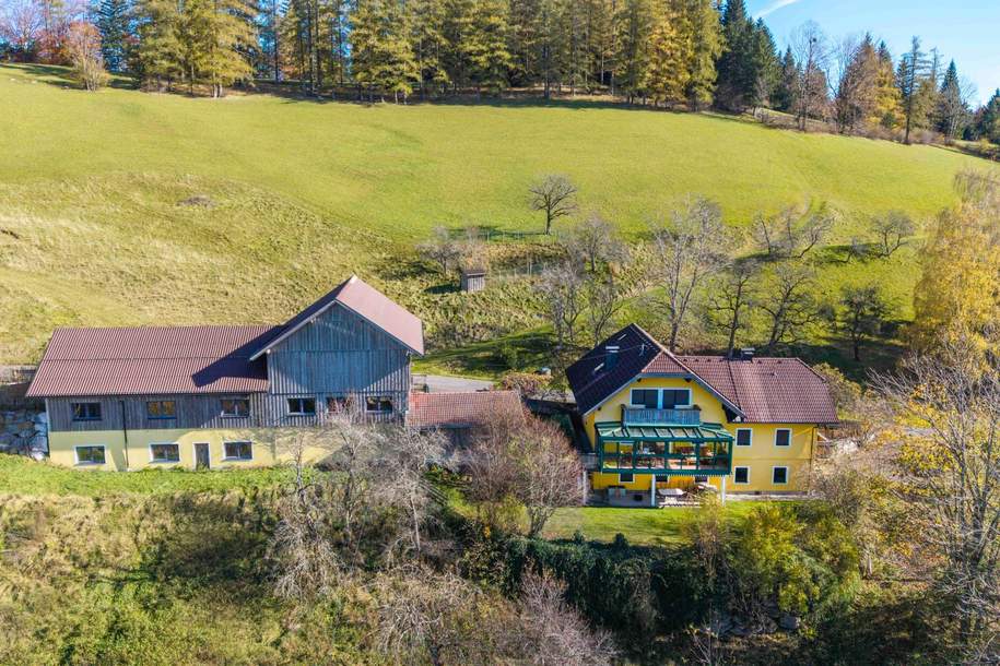 ALLEINLAGE - INTAKTE NATUR - HERRLICHE AUSSICHT - IHR TRAUM? GERNE BAUER?, Haus-kauf, 1.200.000,€, 4644 Gmunden