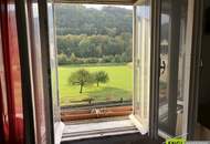 7,6 % Rendite – vermietete Doppelhaushälfte mit zusätzlicher Wohneinheit zur Renovierung und Selbstnutzung.