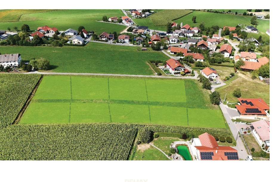 Wo aus Plänen ein Zuhause wird, Grund und Boden-kauf, 71.000,€, 4942 Ried im Innkreis