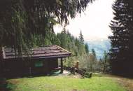 Ski-/Almhütte im Skigebiet Saalbach-Hinterglemm