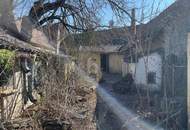 ALTBAU MIT CHARME & RIESIGEM GRUNDSTÜCK