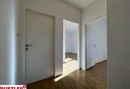 Wohnen zwischen den Schirmföhren mit Blick zum Husarentempel