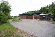 Helle 3-Zimmer-Wohnung mit großzügiger Terrasse
