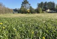 Attraktives Grundstück ohne Bauverpflichtung in Ferlach