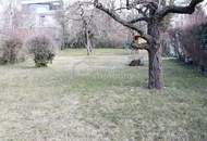 ES GIBT FÜR ALLES EINEN GRUND - wir haben gleich 3 davon…