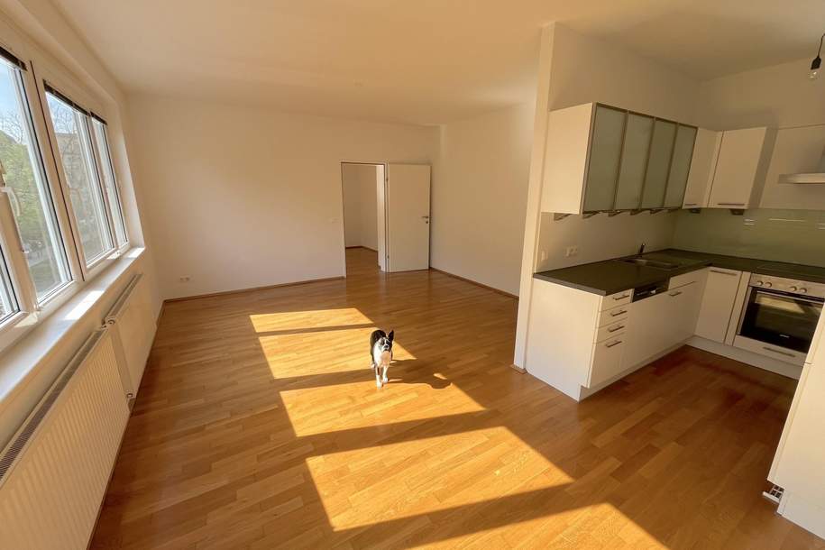 helle Wohnung - top ausgestattet, Wohnung-miete, 899,33,€, 1170 Wien 17., Hernals