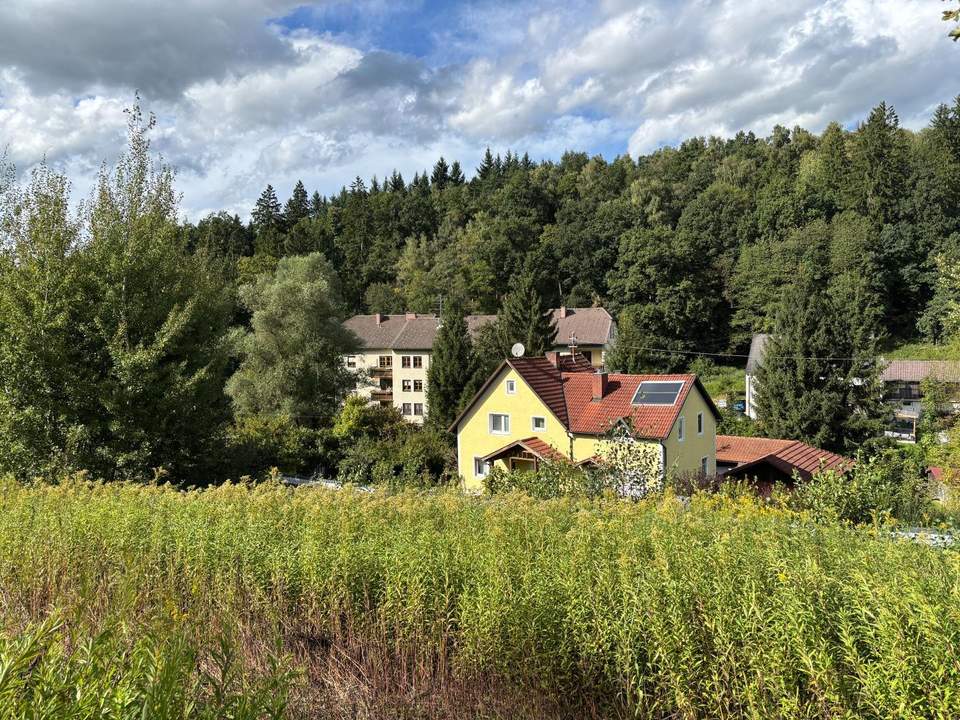 Baugrundstück ohne Bauzwang in idyllischer Grünlage