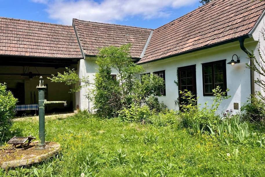 Historisches Anwesen mit unberührtem Waldparadies!, Haus-kauf, 295.000,€, 2114 Mistelbach