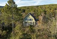 Rarität! Histroische Jahrhundertwende-Villa mit Privatpark und Wald | Blick in alle Himmelsrichtungen | Lichtdurchflutet