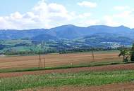 Fernblick garantiert! - Hangbaugrundstück mit Baumbestand aufgeschlossen