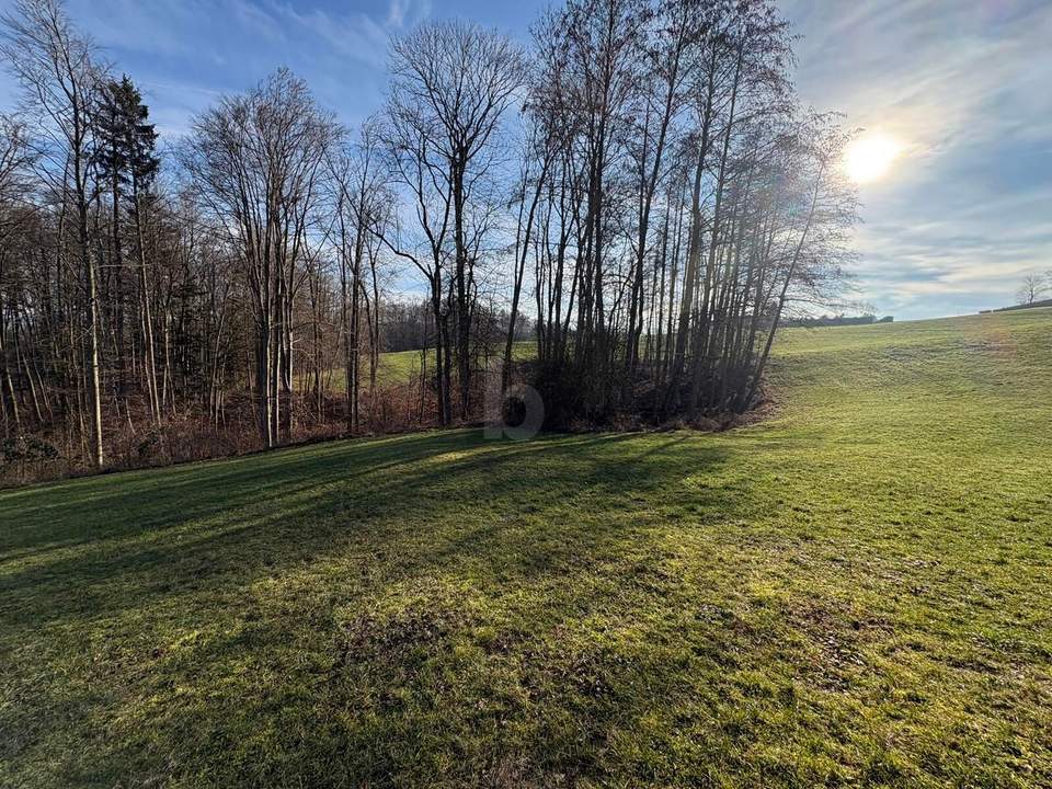 WOHNEN AUF HÖCHSTEM NIVEAU, KEIN BAUZWANG- SÜDHANG IN RUHELAGE MIT ZENTRUMSNÄHE