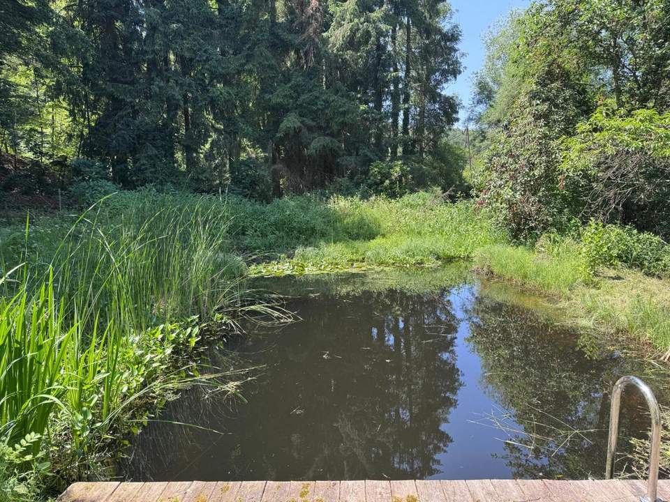 Grundstück mit Hütte und kleinem Teich