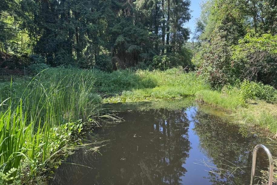 Grundstück mit Hütte und kleinem Teich, Grund und Boden-kauf, 45.000,€, 8301 Graz-Umgebung