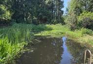 Grundstück mit Hütte und kleinem Teich