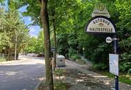 Einfamilienhaus zum Sanieren – Altbaujuwel in Dornbach