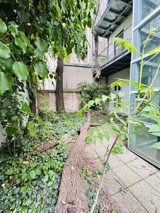 Renovierungsbedürftige Bürofläche mit eigenem Garten!