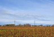 Grundstück mit Altbestand im Süden von Salzburg