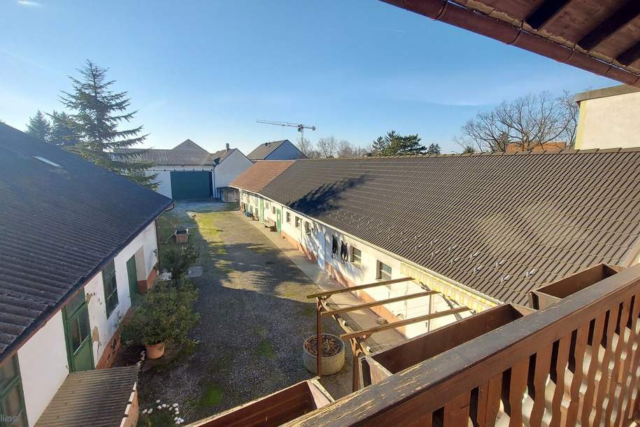 Gartenwohnung- Ruheoase- Sofortbezug möglich!, Wohnung-miete, 899,00,€, 2201 Korneuburg