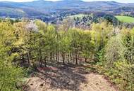 Kaiserspitz/Rekawinkel: Baugrundstück auf Südhang in Waldrandlage