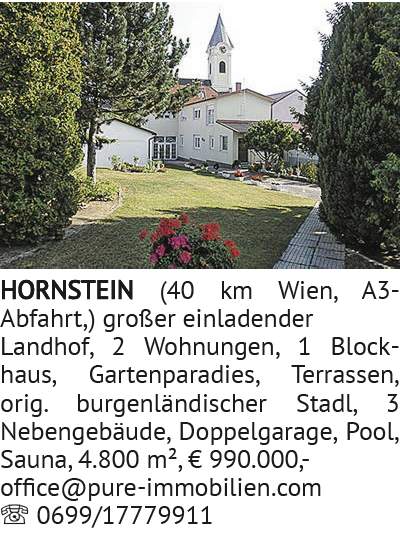 großer einladender Landhof, 2 Wohnungen, 1 Blockhaus, Gartenparadies, Terrassen, orig. burgenländisc
