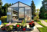 OPEN HOUSE SA 6.9. - TOLLES FAMILIEN HAUS Gänserndorf Stadt