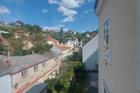 EIGENTUMSWOHNUNG ALTBAU IN TOP LAGE VON KREMS, Wohnung-kauf, 210.000,€, 3500 Krems an der Donau(Stadt)