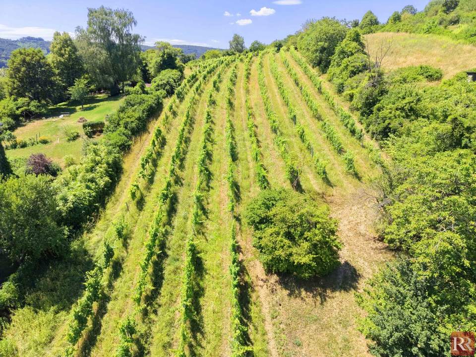 Großzügiges Grundstück mit Weitblick