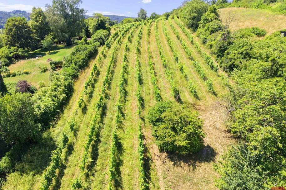 Großzügiges Grundstück mit Weitblick, Grund und Boden-kauf, 1.200.000,€, 3400 Tulln